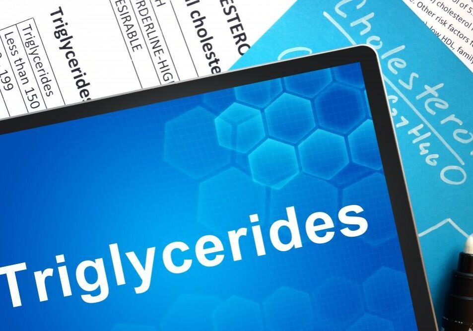Triglycerides and cholesterol health report